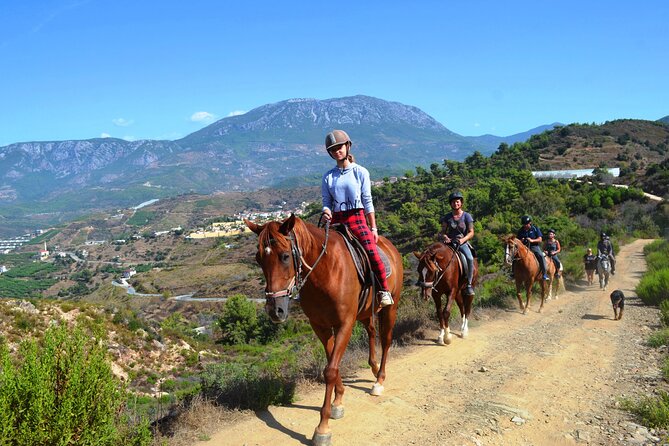 Alanya: Horseback Riding in Taurus: Forest Sea Views 2.5 Hours - Reading the Long List of Alanya Stops