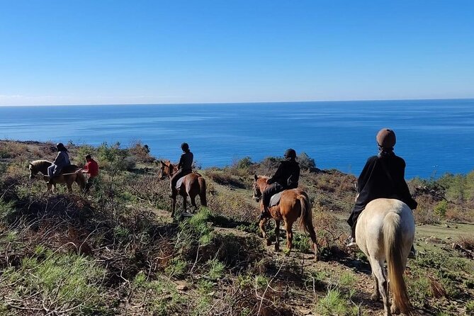 Alanya Horseback Riding in the Taurus Mountains with Transfer - Riding through Kargicak’s forests and meadows