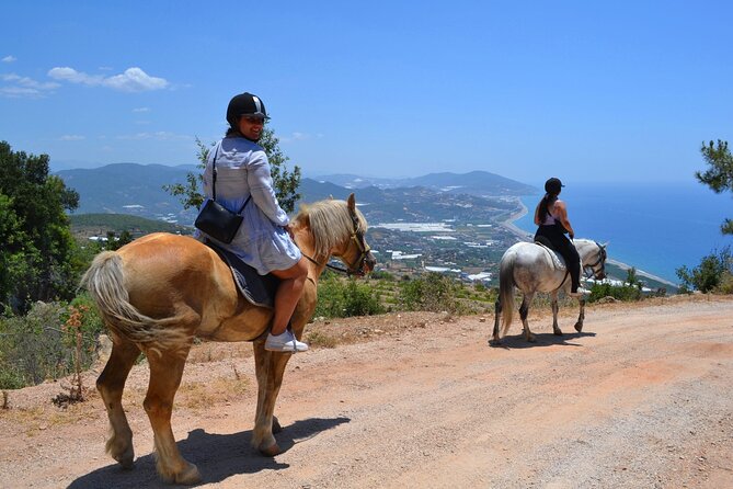 Alanya Horseback Riding in the Taurus Mountains with Transfer - Group size, comfort, and the overall pace
