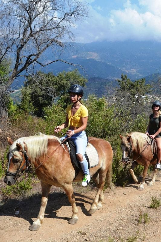 Alanya: Private Horse Safari - Key Points Before You Book