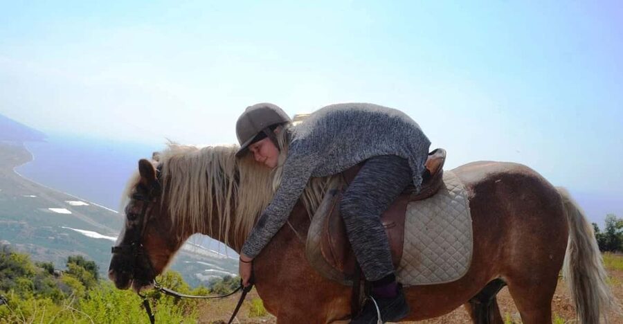 Alanya: Private Horse Safari - Should You Book the Private Horse Safari?