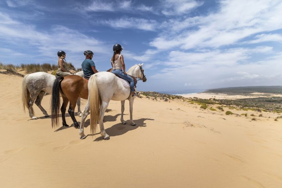 Algarve: 1-Hour Carrapateira Horseback Riding Tour - Meeting the horses before the ride