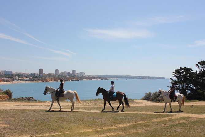 Algarve - Exclusive horseriding in Portimao (no experience required) - Key points to know before booking