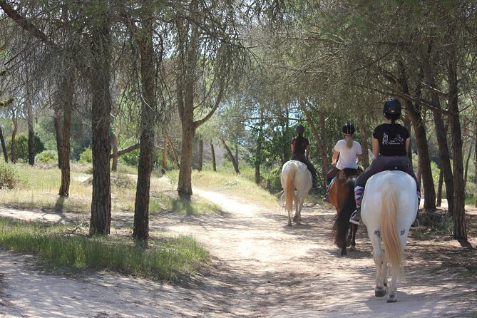 Algarve - Exclusive horseriding in Portimao (no experience required) - Starting with the horses near Alvor