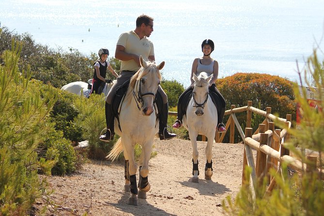Algarve - Exclusive horseriding in Portimao (no experience required) - Reaching the coast and the best photo stops