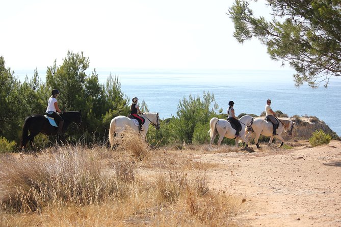 Algarve - Exclusive horseriding in Portimao (no experience required) - Horse welfare and the human side of the outing