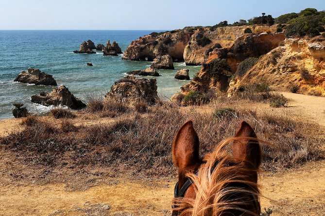 Algarve - Exclusive horseriding in Portimao (no experience required) - Who will enjoy this ride most