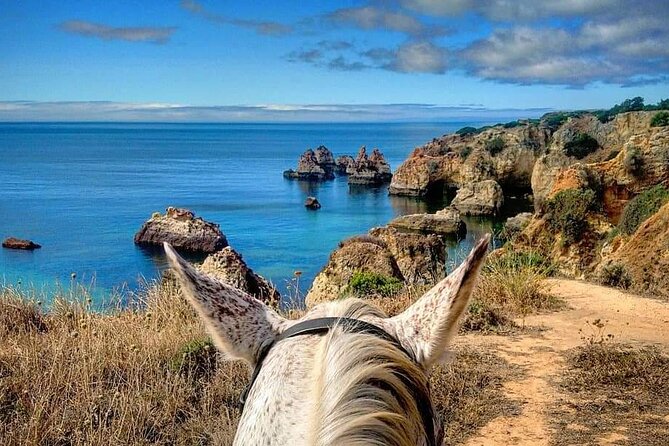 Algarve - Exclusive horseriding in Portimao (no experience required) - Through pine trees and sandy backroads
