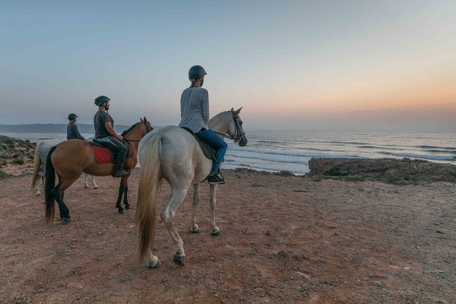 Algarve: Horse Riding Beach Tour at Sunset or Morning - At a glance: what makes this ride special