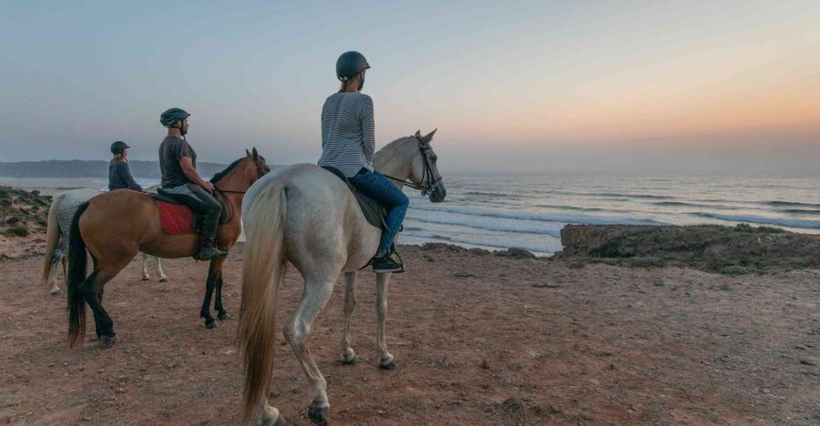 Algarve: Horse Riding Beach Tour at Sunset or Morning - Through pine forest and countryside paths