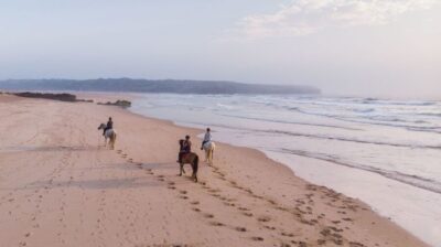 Algarve: Horse Riding Beach Tour at Sunset or Morning