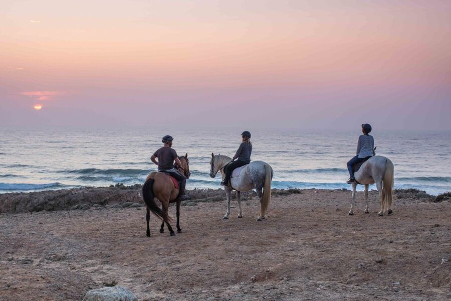 Algarve: Horse Riding Beach Tour at Sunset or Morning - Along the coast to Carrapateira Beach