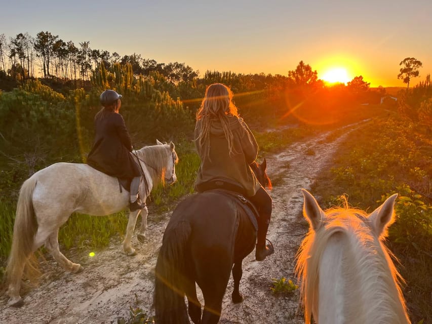 Algarve Horseriding tour in the countryside of Aljezur Rogil - What the 1.5-hour route can show you