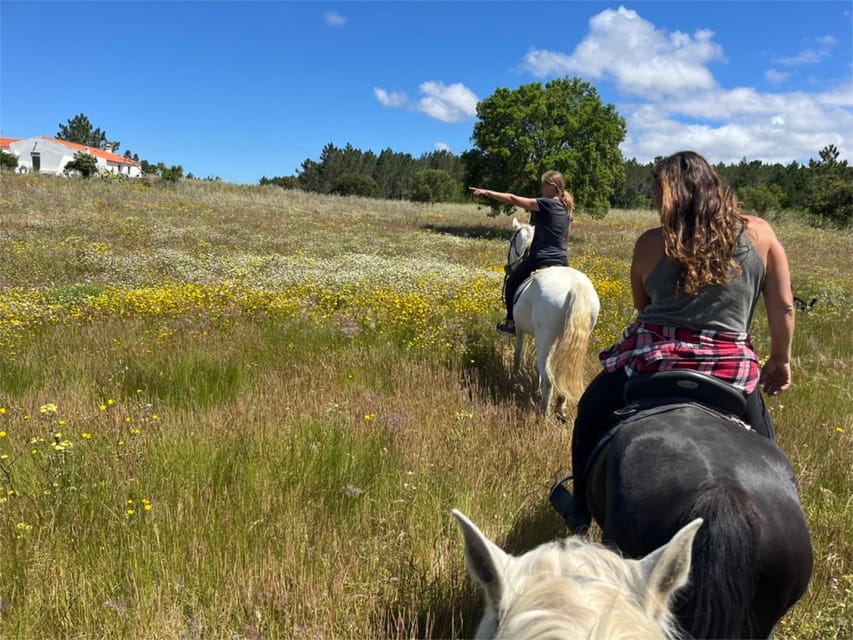 Algarve Horseriding tour in the countryside of Aljezur Rogil - Booking, cancellation, and practical planning