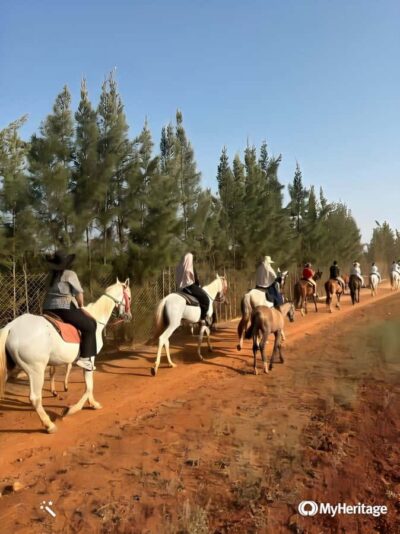 Algeria Daytour : Snorkeling & Horse Riding with lunch