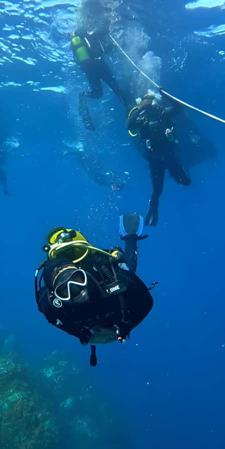 Algeria Daytour : Snorkeling & Horse Riding with lunch - Lunch at a local restaurant