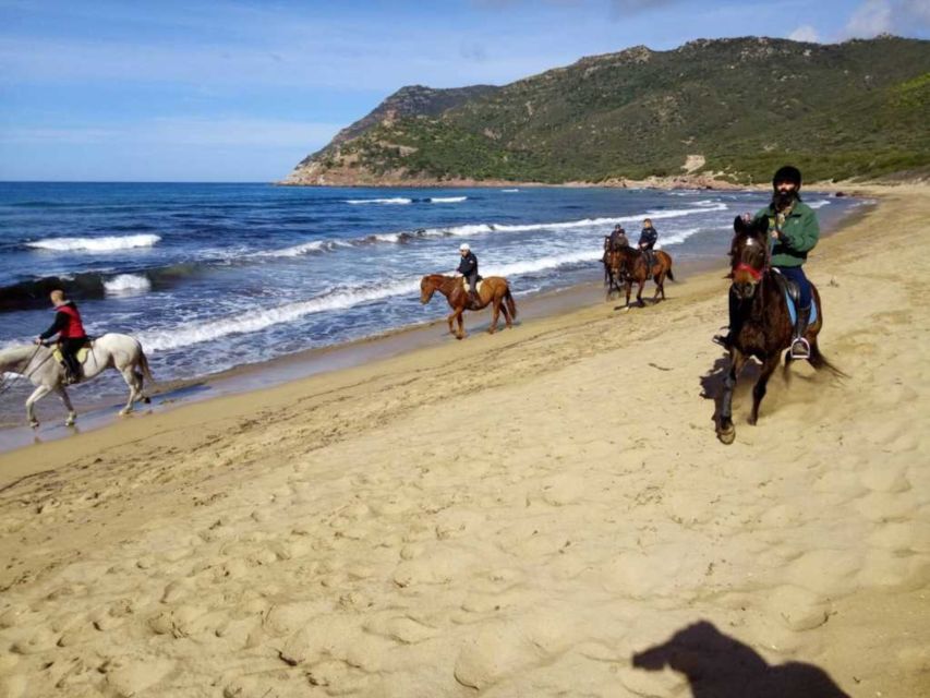 Alghero: Guided Horseback Ride at Lake Baratz & Porto Ferro - Starting beside Lake Baratz