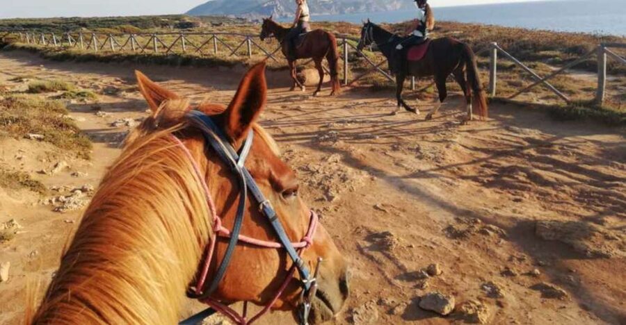 Alghero: Guided Horseback Ride at Lake Baratz & Porto Ferro - Calm horses and careful help for beginners
