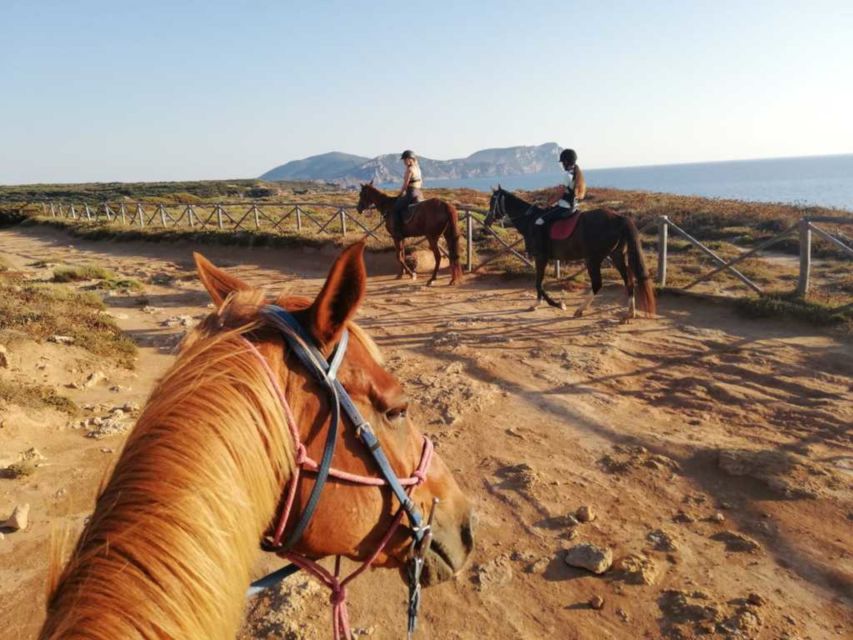Alghero: Guided Horseback Ride at Lake Baratz & Porto Ferro - Sand dunes on the way to Porto Ferro