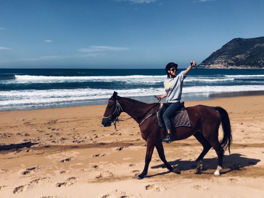 Alghero: Guided Horseback Ride at Lake Baratz & Porto Ferro - Two kilometers beside the sea