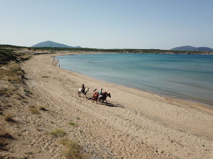 Alghero: Guided Horseback Ride at Lake Baratz & Porto Ferro - Who should book this ride