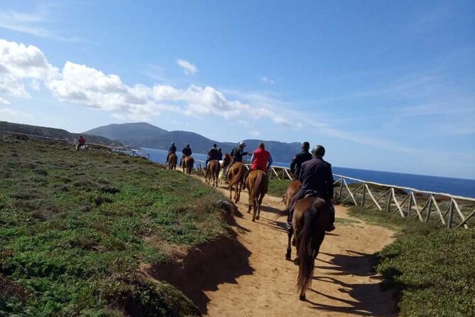 Alghero: horseback ride in Porto Ferro and Lake Baratz - Key points before you book