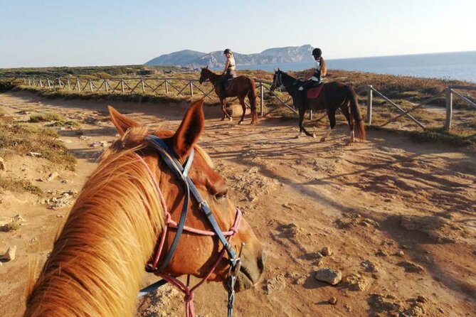 Alghero: horseback ride in Porto Ferro and Lake Baratz - What the support team adds