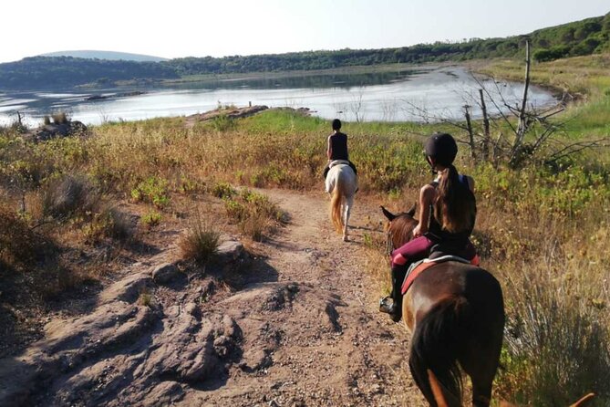 Alghero: horseback ride in Porto Ferro and Lake Baratz - Is $60.21 good value?