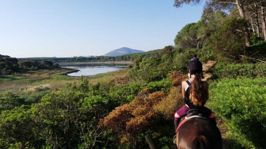 Alghero: Lake Baratz Guided Horseback Ride - Riding beside the lake through quiet woodland