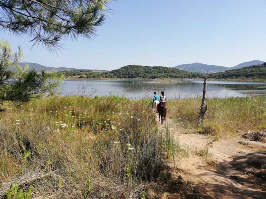 Alghero: Lake Baratz Guided Horseback Ride - Practical planning for a comfortable outing