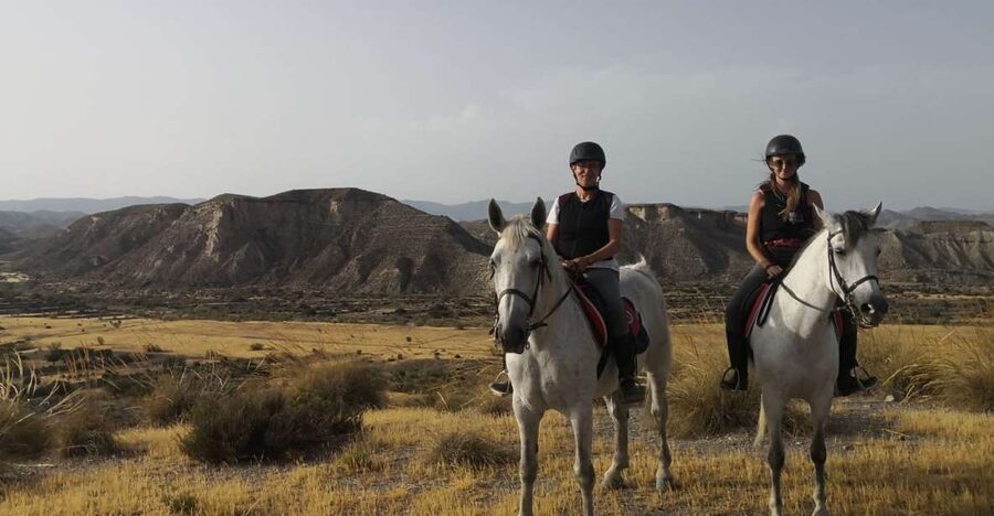 Almeria: Horse Riding Tour Through the Tabernas Desert - Key points before you book