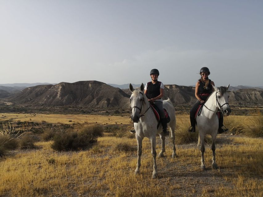 Almeria: Horse Riding Tour Through the Tabernas Desert - Why this desert ride works so well