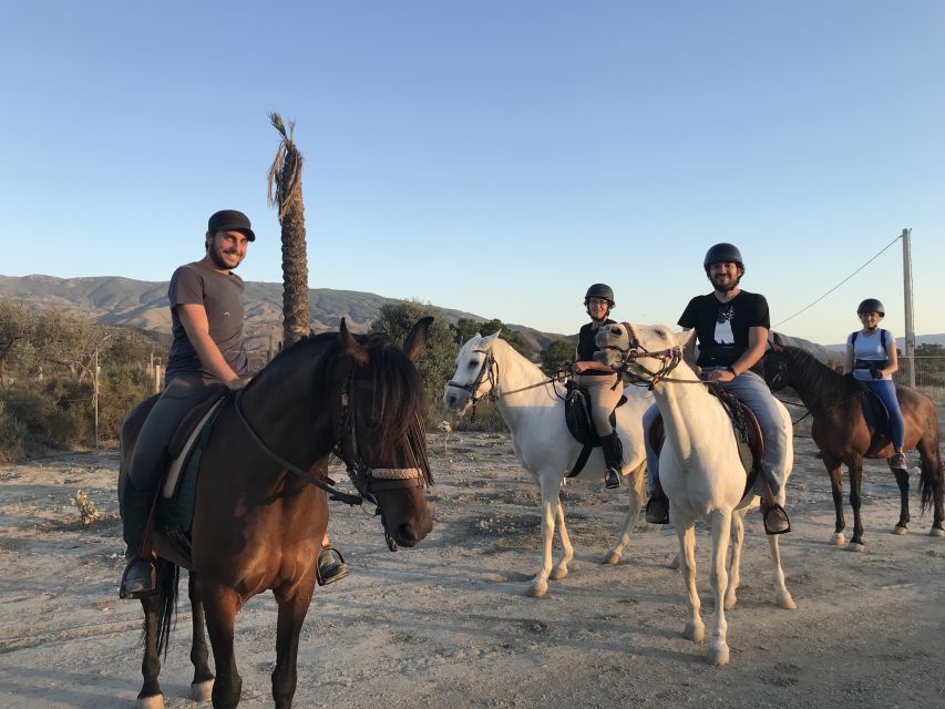Almeria: Horse Riding Tour Through the Tabernas Desert - The first lesson and meeting your horse