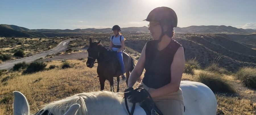 Almeria: Horse Riding Tour Through the Tabernas Desert - A quiet route, not a galloping adventure