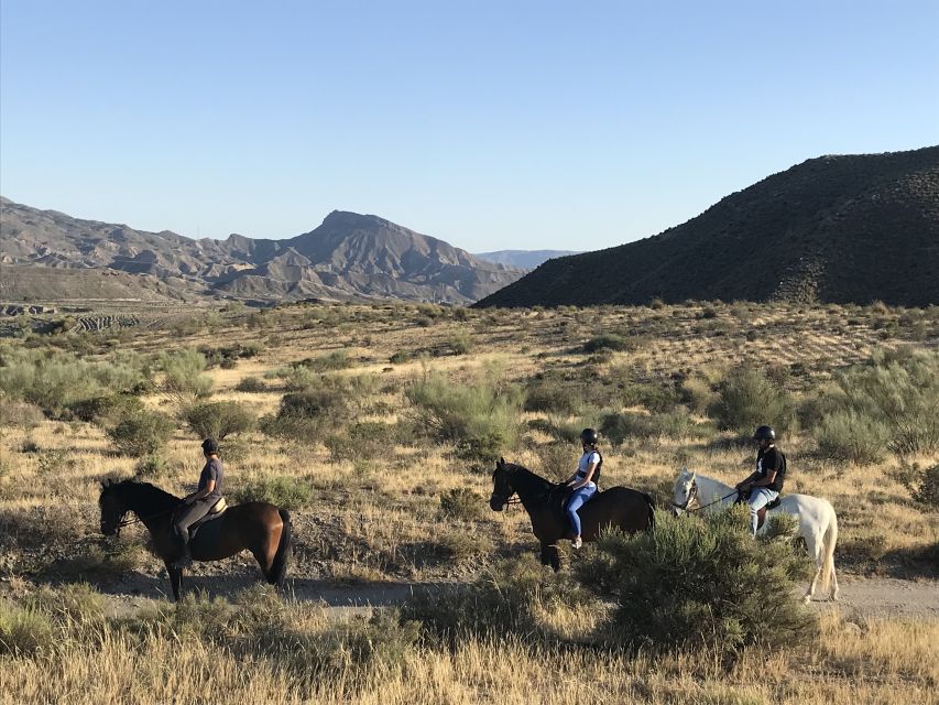 Almeria: Horse Riding Tour Through the Tabernas Desert - Who will enjoy this most?