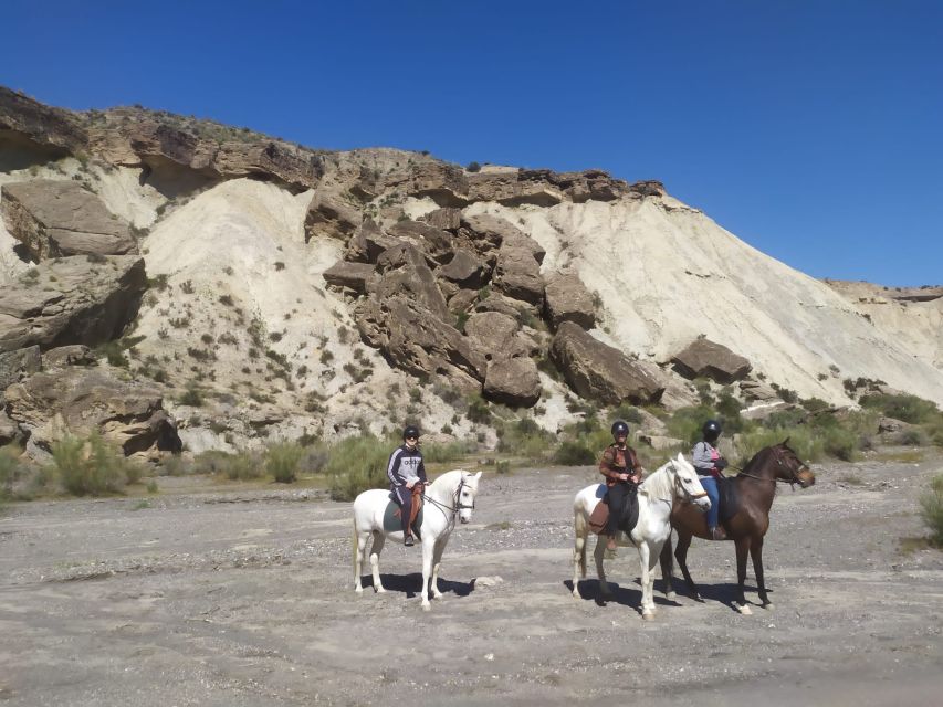 Almeria: Horse Riding Tour Through the Tabernas Desert - Arriving at Rancho Malcaminos near Tabernas