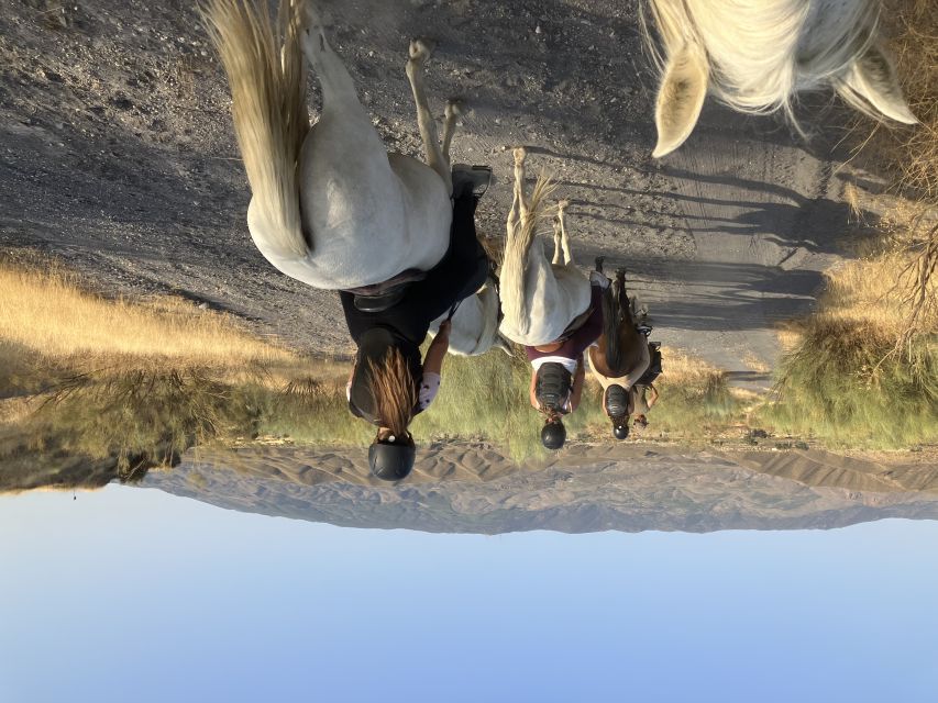 Almeria: Tabernas Desert Horse Riding for experienced riders - Key points before you saddle up