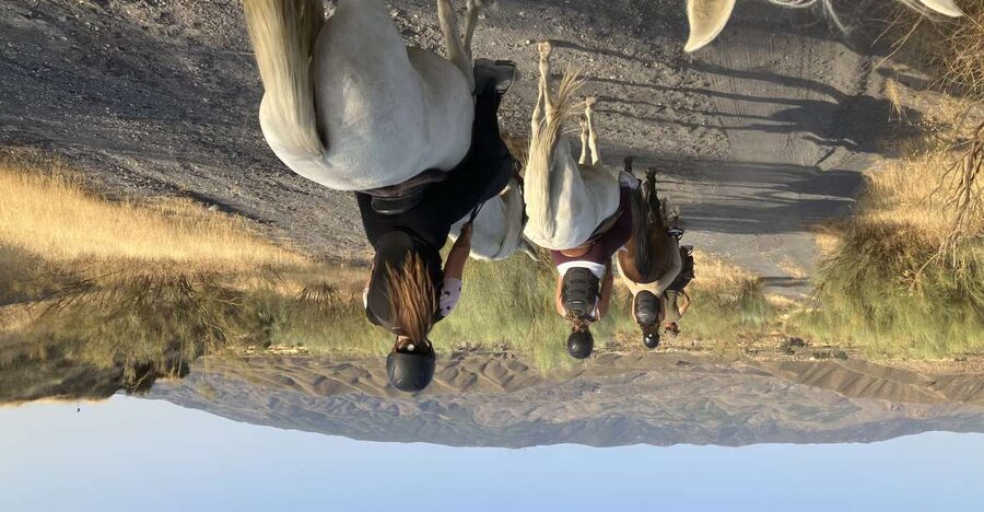 Almeria: Tabernas Desert Horse Riding for experienced riders - Riding into Europe’s only desert