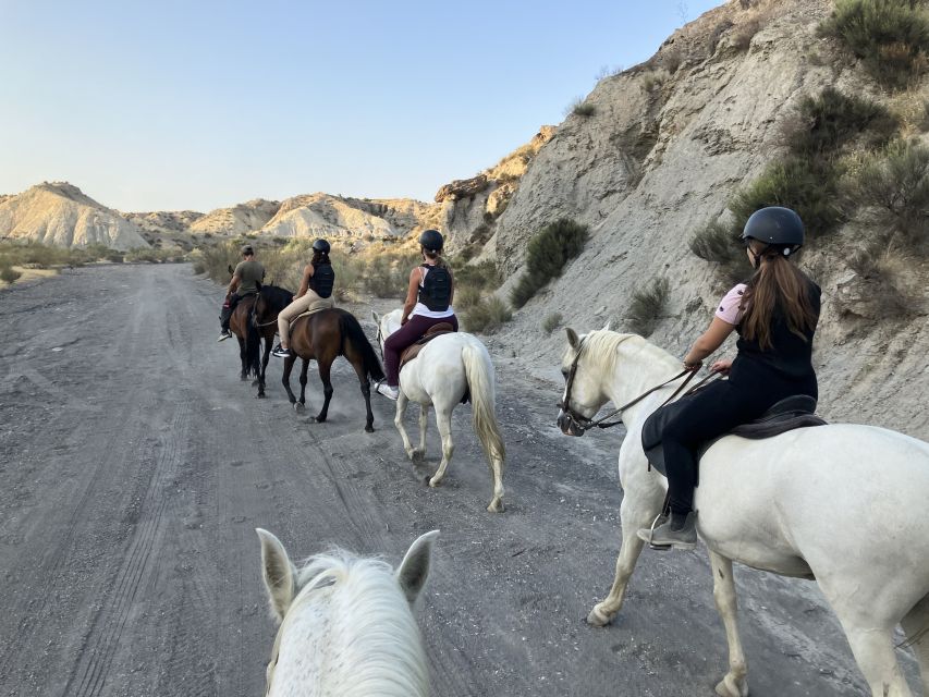Almeria: Tabernas Desert Horse Riding for experienced riders - Meeting your horse and proving your level