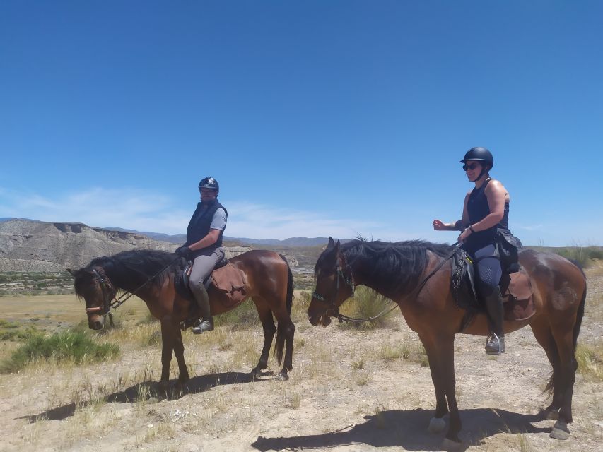 Almeria: Tabernas Desert Horse Riding for experienced riders - Is $94 fair for three hours?