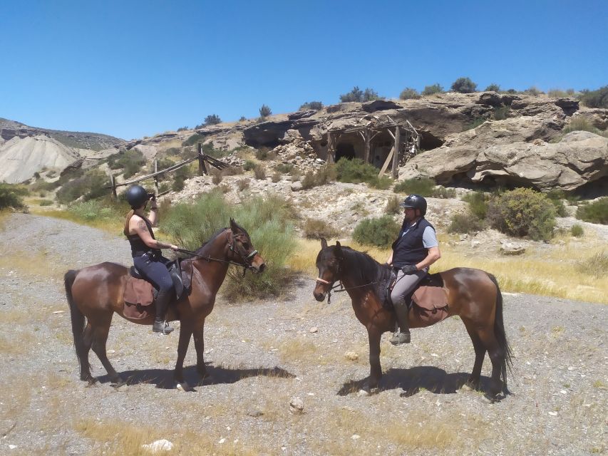 Almeria: Tabernas Desert Horse Riding for experienced riders - Who should book, and who should skip it?