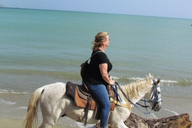 Amazing 3-Hour Horseback Riding at Puerto Plata with Pickup - Reaching Bergantín Beach