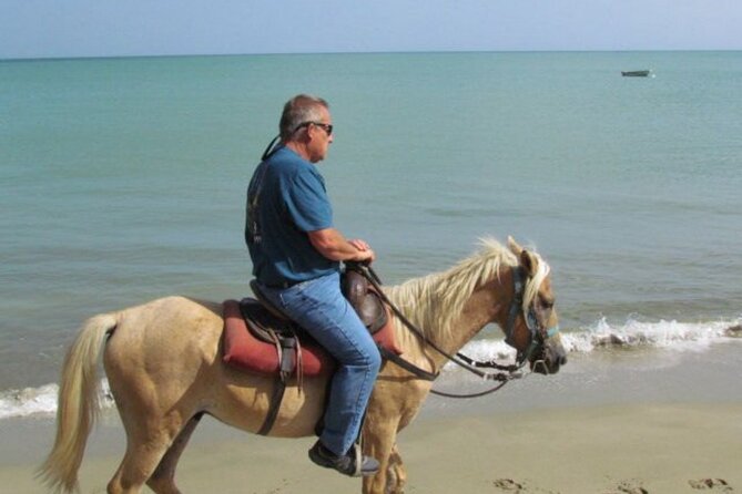 Amazing 3-Hour Horseback Riding at Puerto Plata with Pickup - Who will enjoy this Puerto Plata ride?