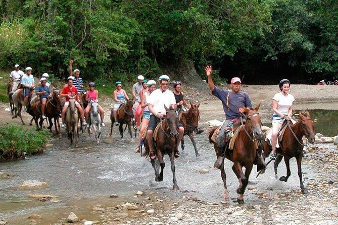 Amazing 3-Hour Horseback Riding at Puerto Plata with Pickup - Meeting the horses and learning the basics