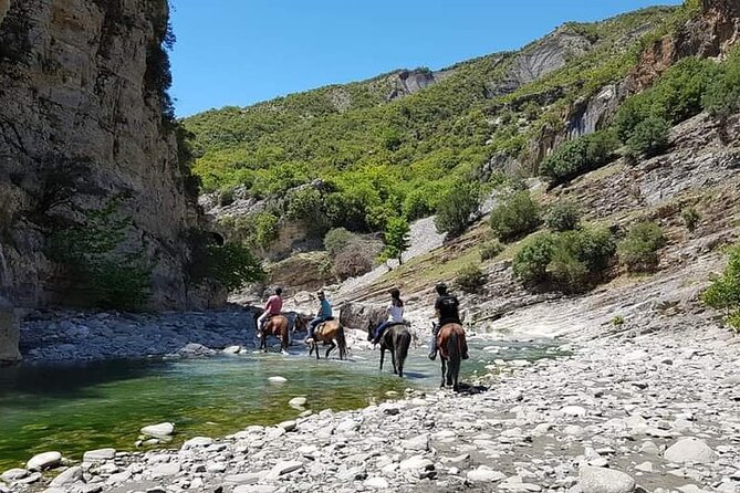Amazing Horse Riding Experience at Vjosa National Park in Permet - Picnic stops with fruit, cookies, and local wine
