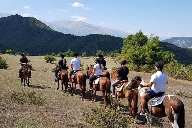 Amazing Horse Riding Experience at Vjosa National Park in Permet - Horses that are treated as animals, not equipment