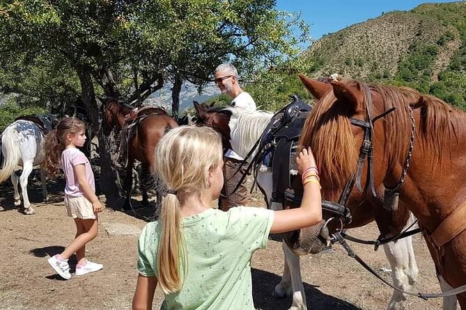 Amazing Horse Riding Experience at Vjosa National Park in Permet - What the ride feels like for beginners