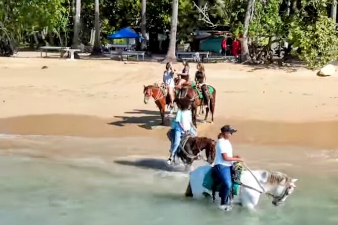 AMBER COVE-TAINO BAY Horses Beach Ride & City Sightseeing - Key points to know before booking