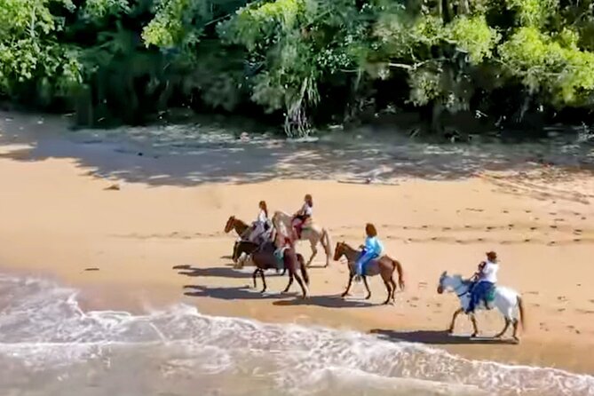 AMBER COVE-TAINO BAY Horses Beach Ride & City Sightseeing - A beach ride with a city sampler attached