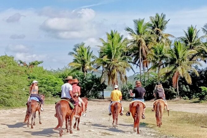 AMBER COVE-TAINO BAY Horses Beach Ride & City Sightseeing - What the $95 price really covers